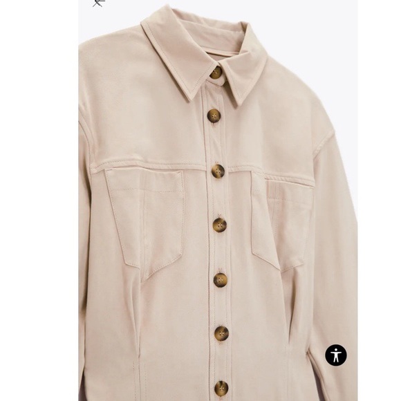 ZARA Faux Suede Dress - Picture 3 of 8